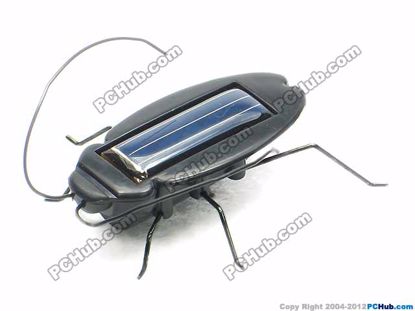66080- Funny Cockroach