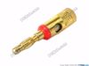 69960- Screw Bracket In Red Belt Copper Handle