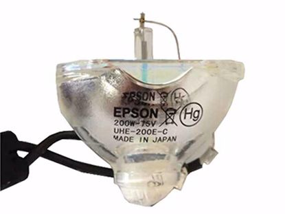 ELPLP67, V13H010L67, Lamp without Housing