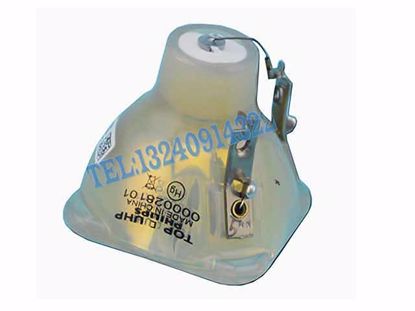 SP.86S01GC01, BL-FS220A, Lamp without Housing