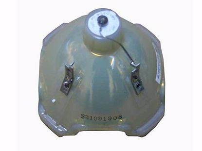 POA-LMP105, Lamp without Housing