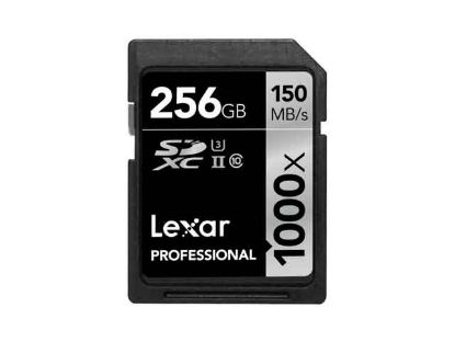 SDXC256GB, Professional