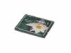Picture of Kingston CF/4GB Card-CompactFlash I 4GB CF-I, TYPE I