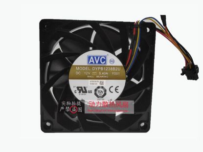 DYPB1238B2U, Y001
