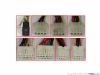 Picture of IEI ACE-920A Server-Power Supply ACE-920A