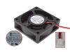 Picture of Young Lin DFS602024H Server-Square Fan DFS602024H