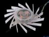 81386 Protechnic Magic MBT7012XF-W20 Server - Frameless / GPU Fan dia72x72x11, w50x4x4, 12V 0.28A, White Protechnic Magic MBT7012XF-W20 Server - Frameless / GPU Fan 
