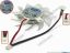 112226 AVC FX00000154 Server - Frameless / GPU Fan dia65x65x11, w40x2x2, 12V 0.2A, White AVC FX00000154 Server - Frameless / GPU Fan 