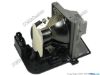 Picture of Optoma TX700 Projector Lamp - Compatible For SP.82G01.001, BL-FU180A Lamp with Housing, 22