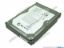 Picture of Seagate ST31000528AS HDD 3.5" SATA 1TB - 3TB 1T, 3.5" SATA, 7,200rpm, 32M